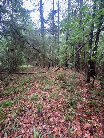6.4 Acres of Residential Land for Sale in Jasper, Texas