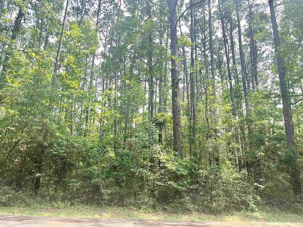 0.27 Acres of Residential Land for Sale in Hemphill, Texas