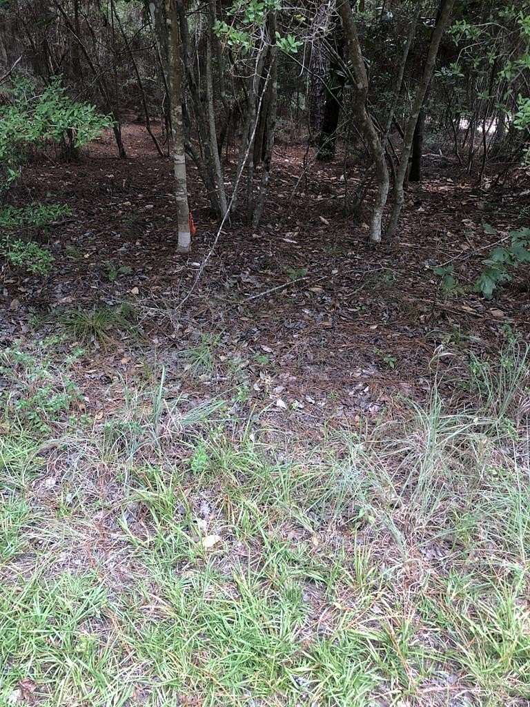 0.23 Acres of Residential Land for Sale in Brookeland, Texas