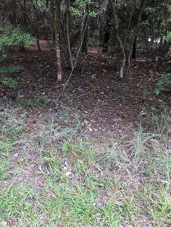 0.23 Acres of Residential Land for Sale in Brookeland, Texas