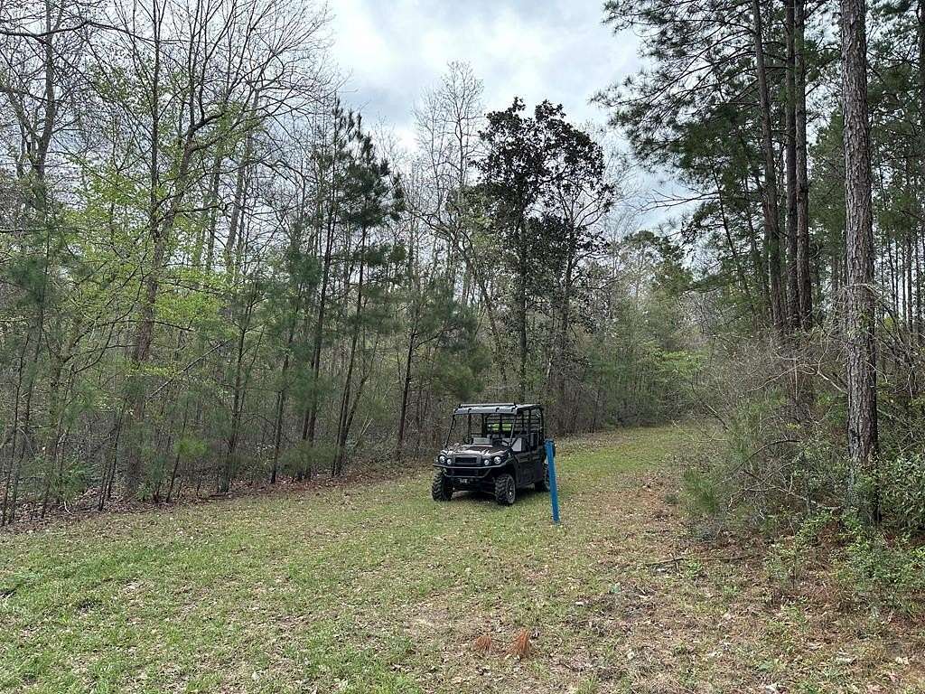 27 Acres of Land for Sale in Jasper, Texas