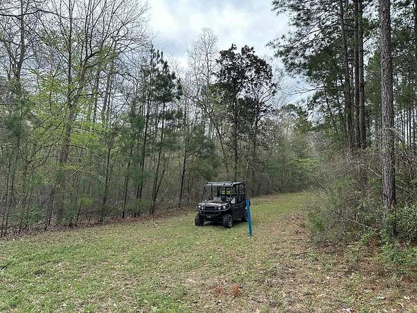 27 Acres of Land for Sale in Jasper, Texas