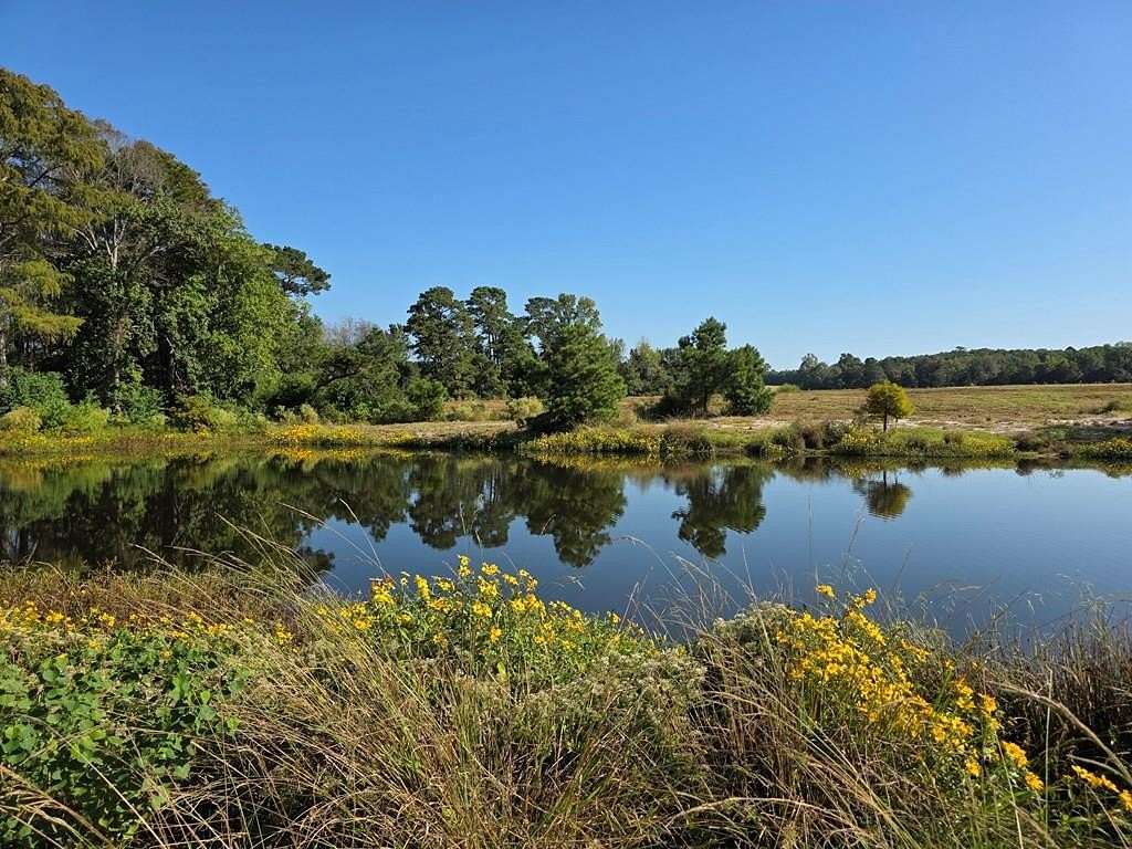 89.8 Acres of Agricultural Land with Home for Sale in Jasper, Texas