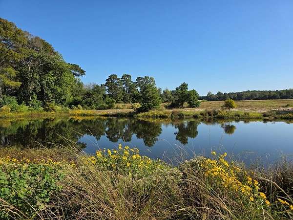89.8 Acres of Agricultural Land with Home for Sale in Jasper, Texas