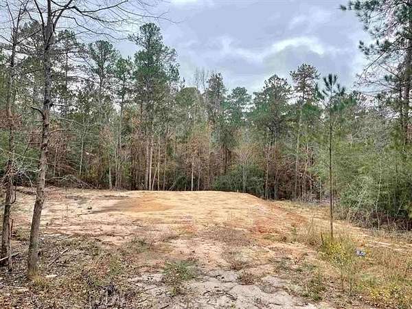 0.29 Acres of Land for Sale in Brookeland, Texas