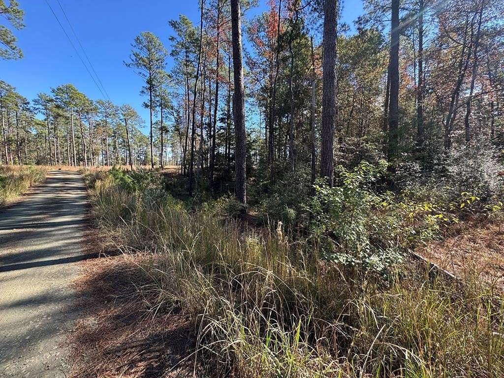 1 Acre of Residential Land for Sale in Brookeland, Texas