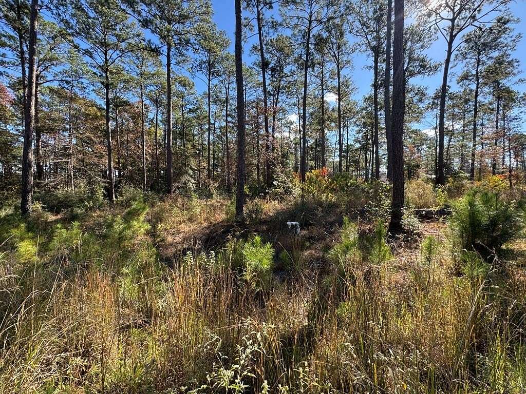 1.14 Acres of Residential Land for Sale in Brookeland, Texas