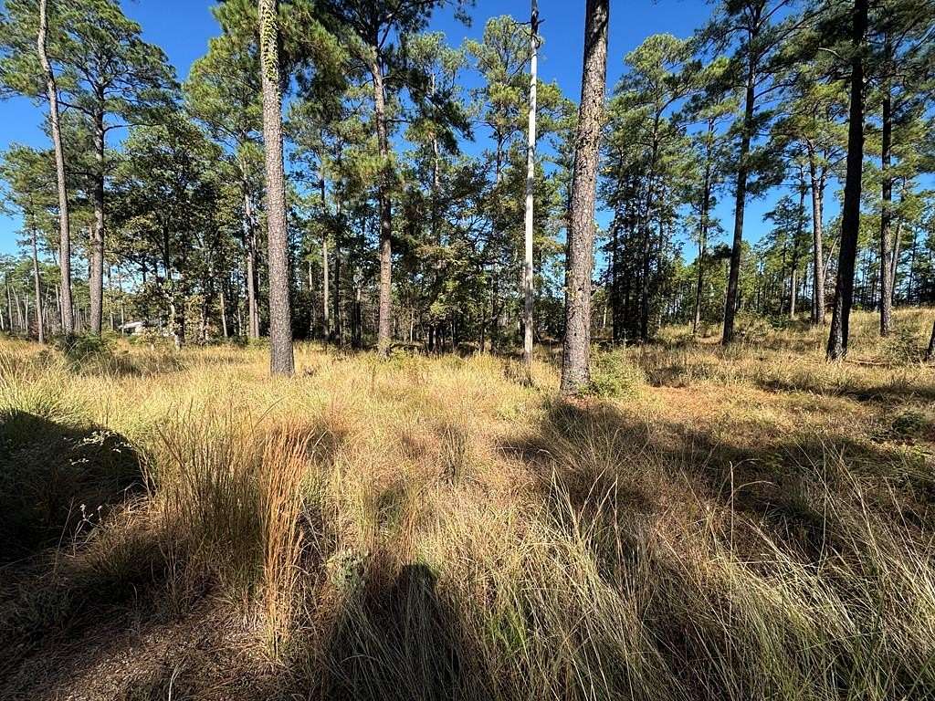 1 Acre of Residential Land for Sale in Brookeland, Texas