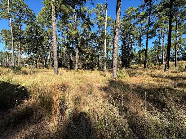 1 Acre of Residential Land for Sale in Brookeland, Texas