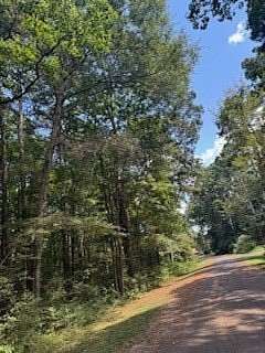 0.3 Acres of Residential Land for Sale in Hemphill, Texas