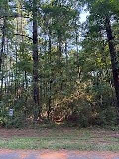 0.24 Acres of Residential Land for Sale in Hemphill, Texas