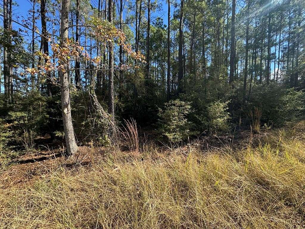 1 Acre of Land for Sale in Brookeland, Texas