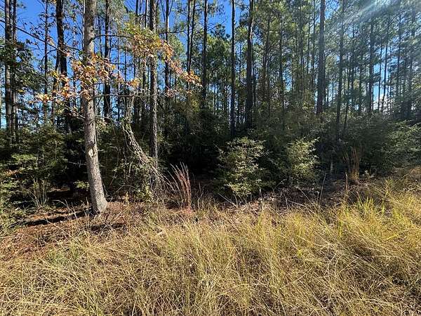 1 Acre of Land for Sale in Brookeland, Texas