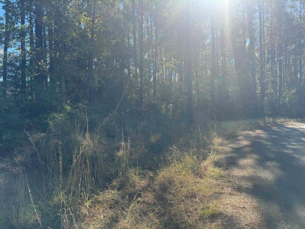 1 Acre of Land for Sale in Brookeland, Texas