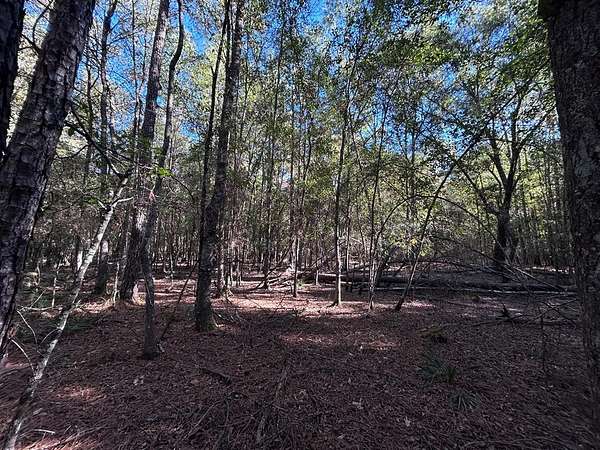 0.25 Acres of Residential Land for Sale in Village Mills, Texas