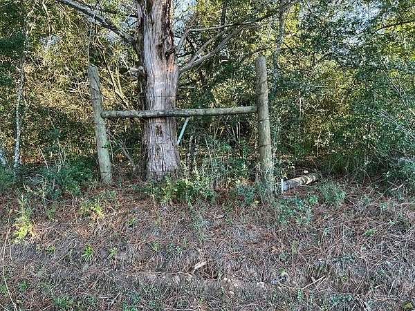 18.7 Acres of Recreational Land for Sale in Joaquin, Texas