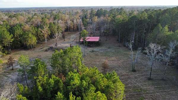 19 Acres of Recreational & Residential Land for Sale in Burkeville, Texas