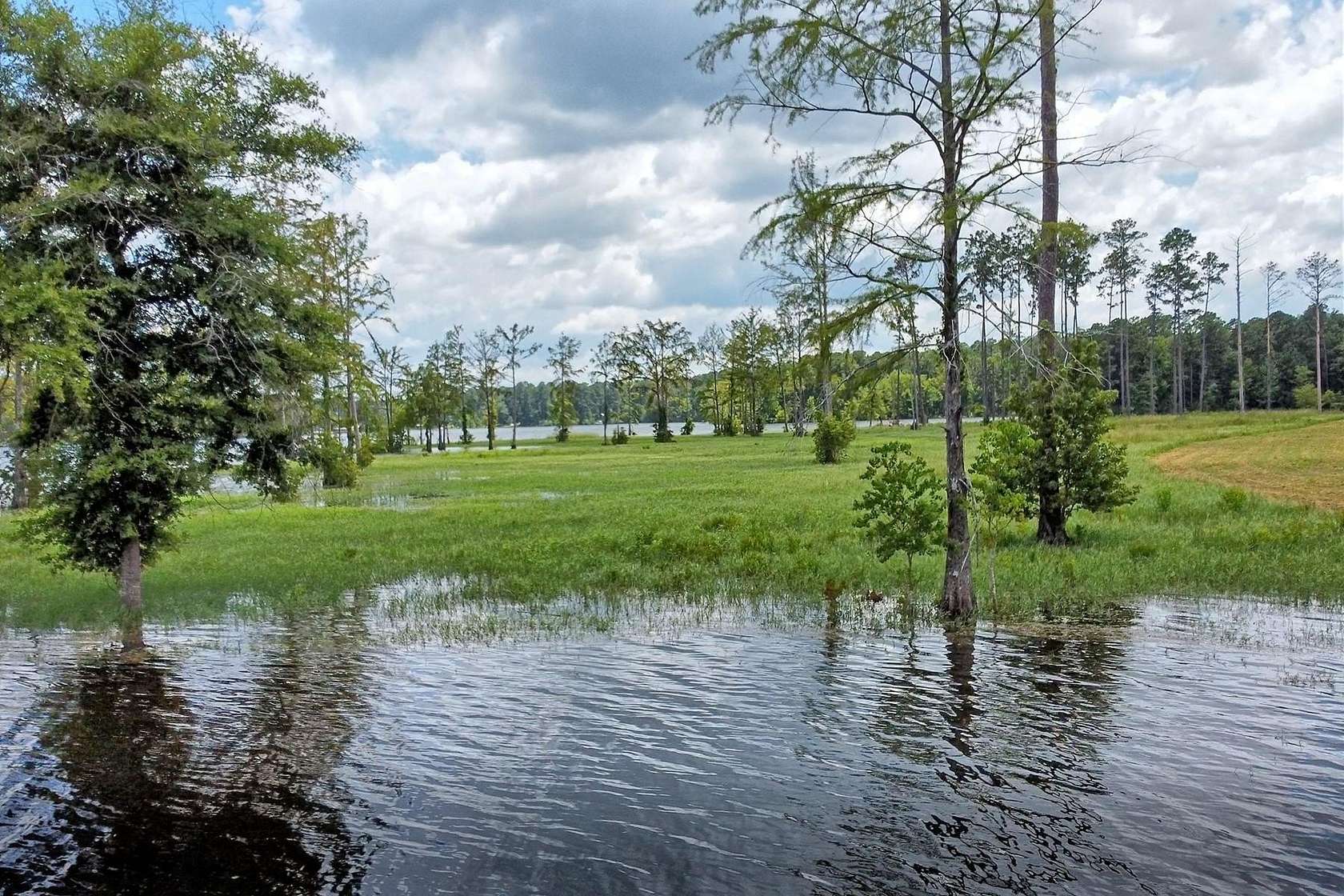 1 Acre of Residential Land for Sale in Burkeville, Texas