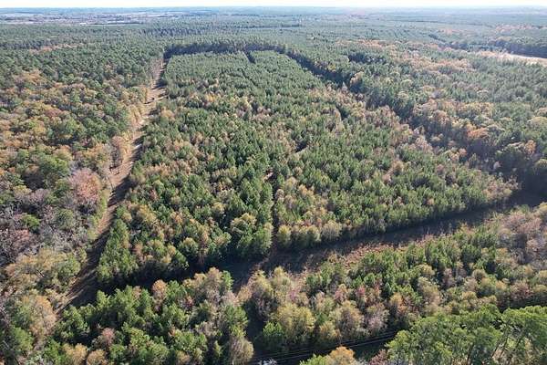 51.7 Acres of Land for Sale in Huntington, Texas