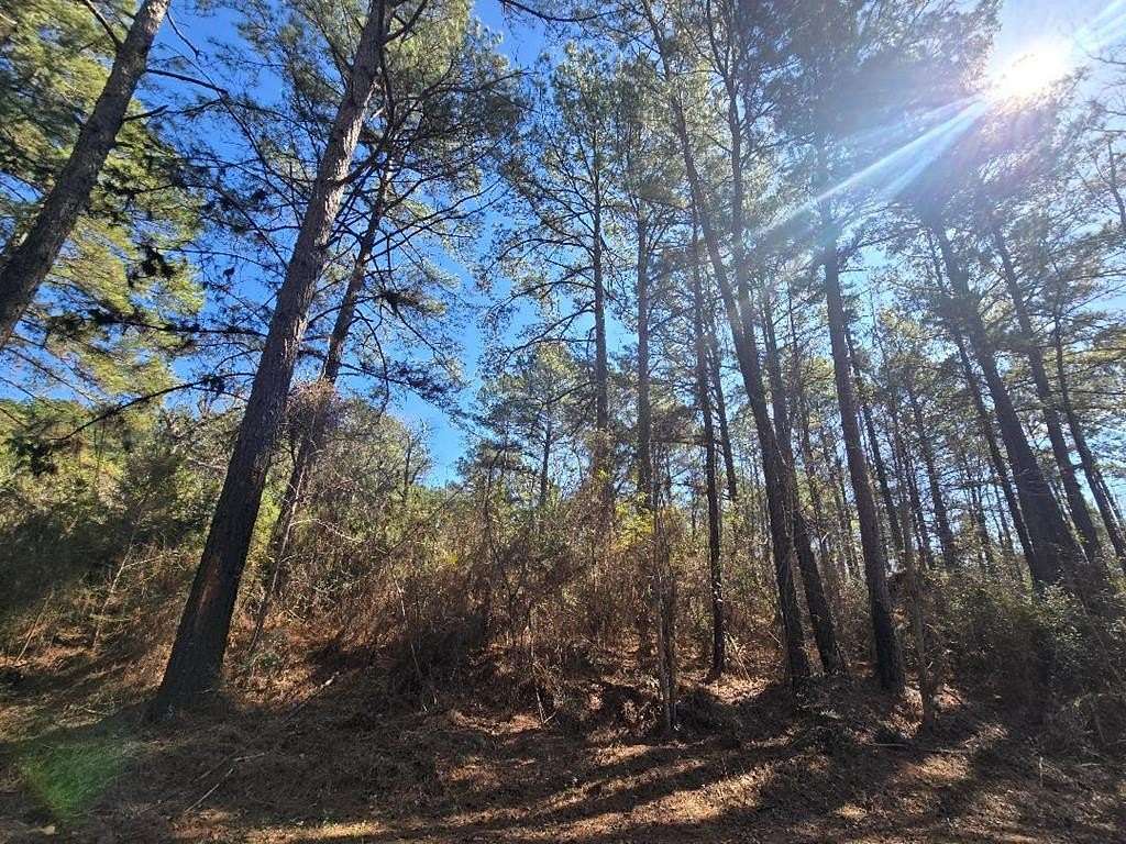 8.7 Acres of Land for Sale in Colmesneil, Texas