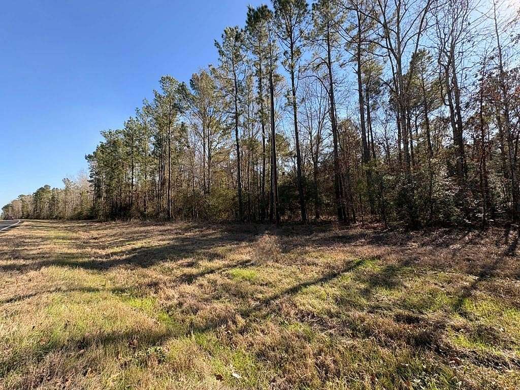 20 Acres of Recreational & Residential Land for Sale in Broaddus, Texas