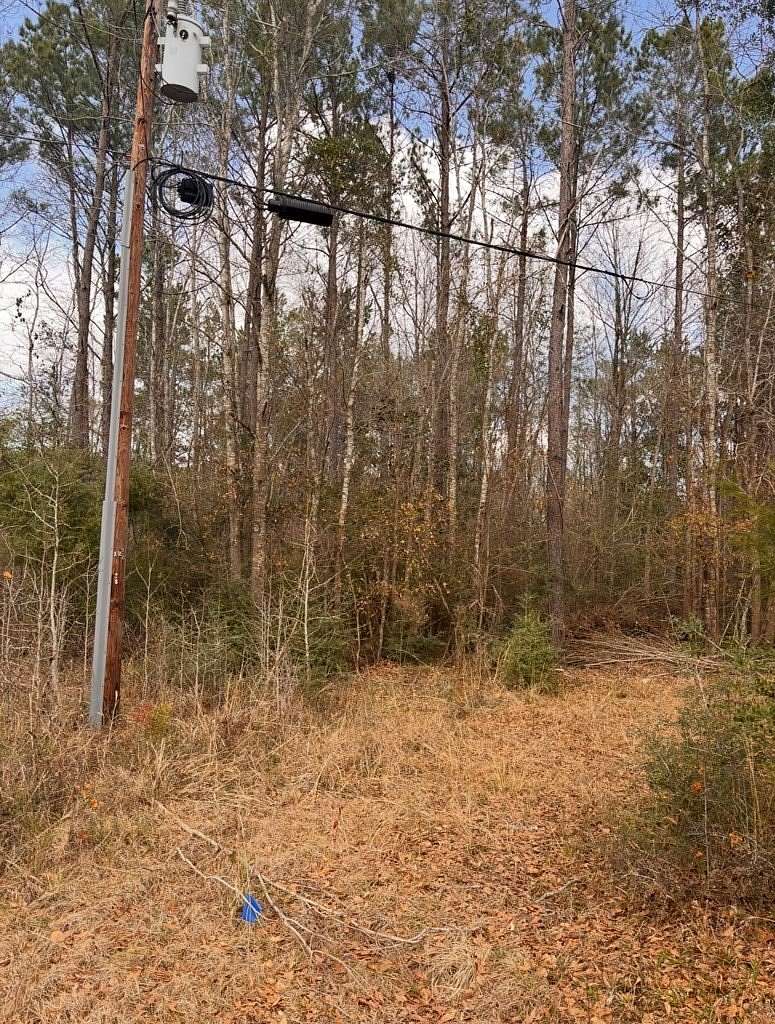 15.5 Acres of Land for Sale in Jasper, Texas