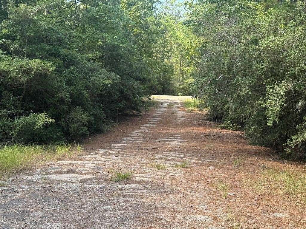 0.29 Acres of Residential Land for Sale in Brookeland, Texas