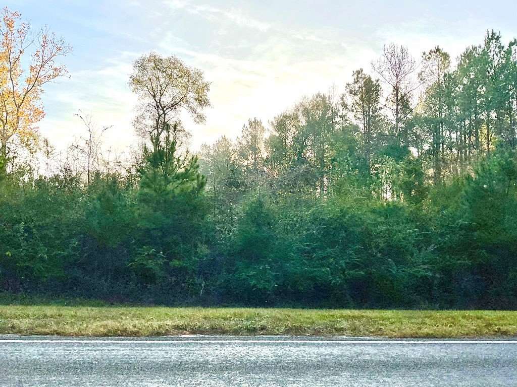 2 Acres of Residential Land for Sale in Spurger, Texas