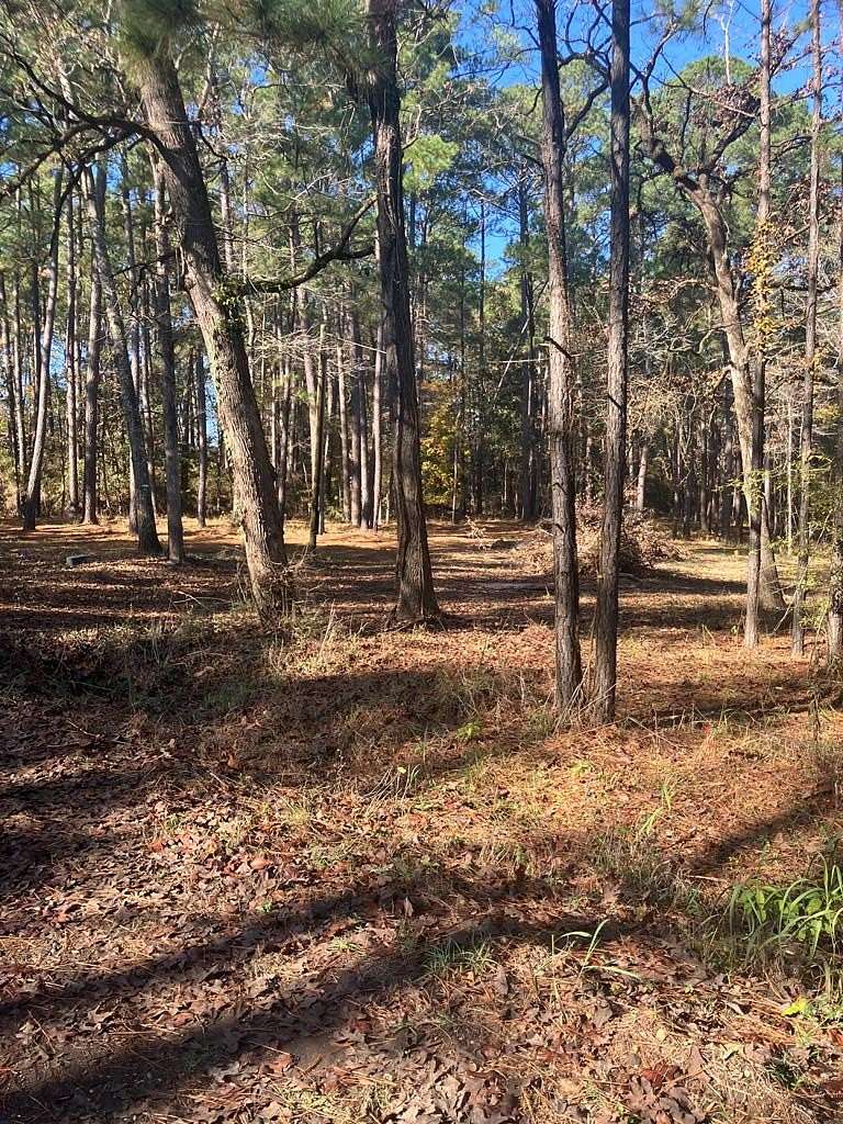 2 Acres of Residential Land for Sale in Hemphill, Texas