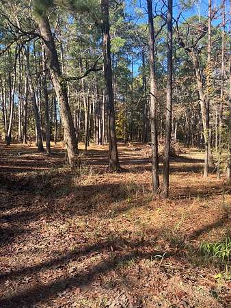 2 Acres of Land for Sale in Hemphill, Texas