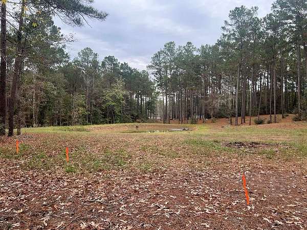1.15 Acres of Land for Sale in Brookeland, Texas