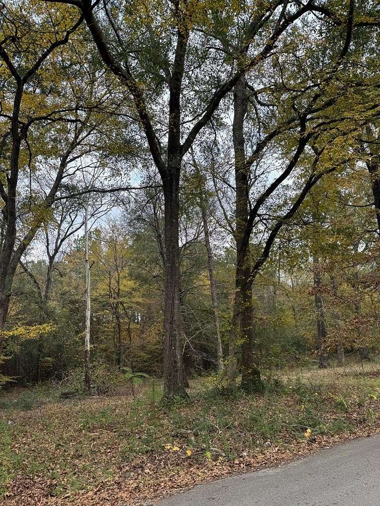 0.34 Acres of Residential Land for Sale in Lufkin, Texas