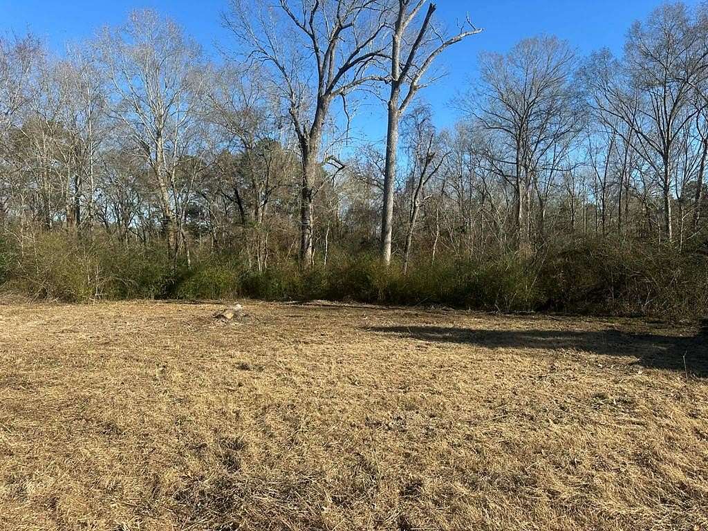 0.38 Acres of Residential Land for Sale in Lufkin, Texas