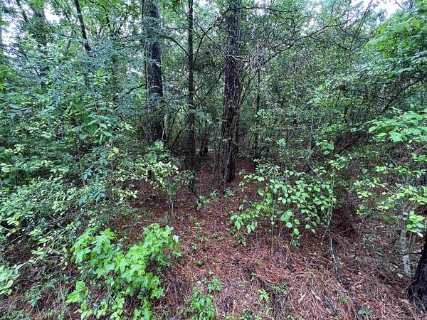 0.22 Acres of Residential Land for Sale in Brookeland, Texas