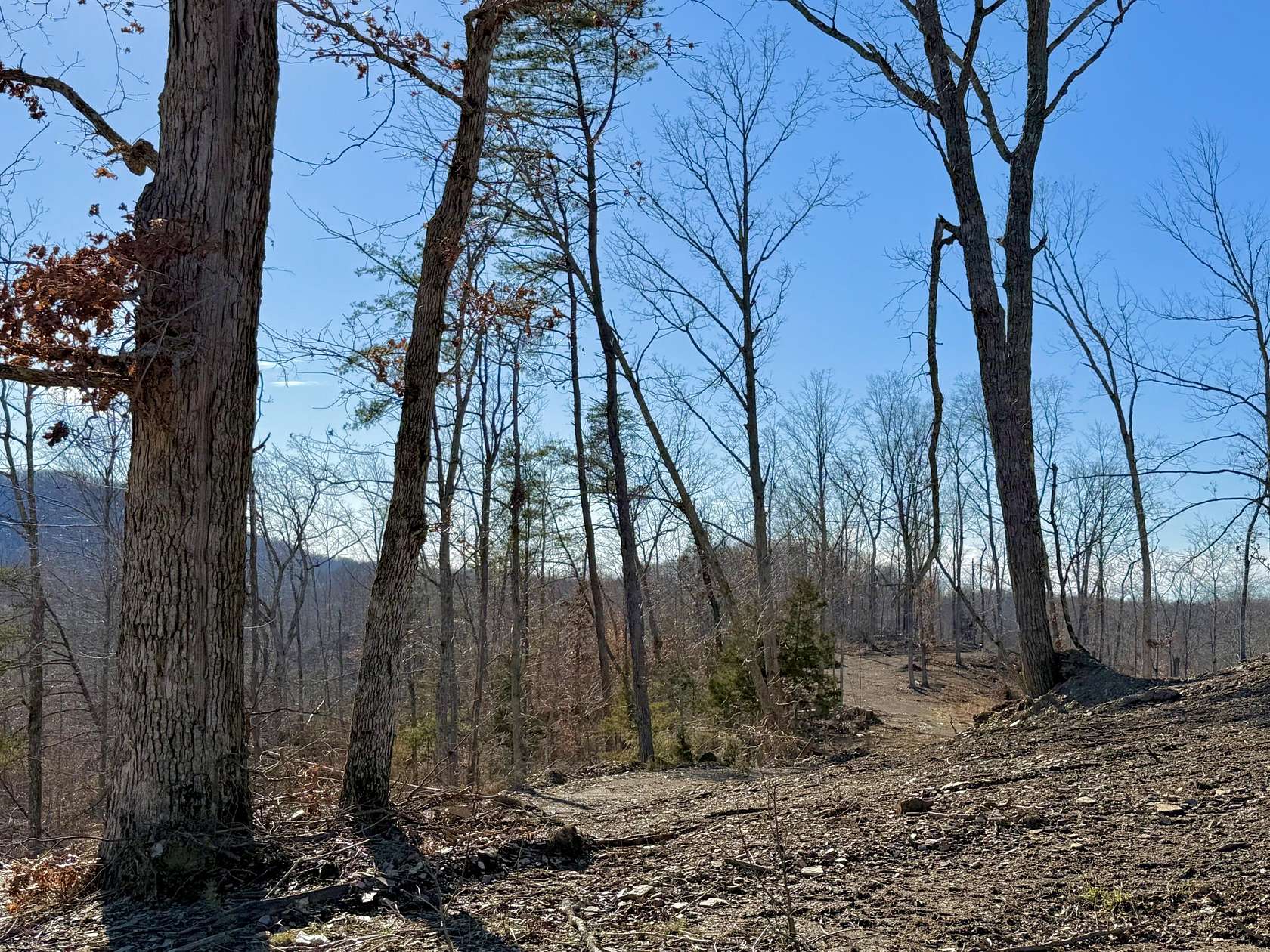 3.5 Acres of Residential Land for Sale in Irvine, Kentucky