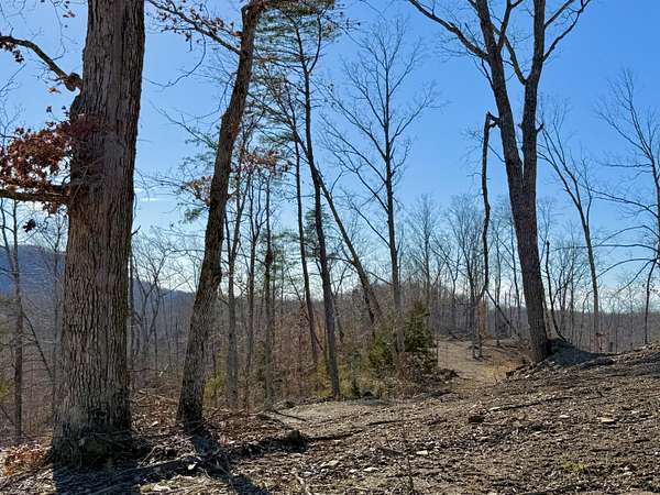 3.5 Acres of Residential Land for Sale in Irvine, Kentucky