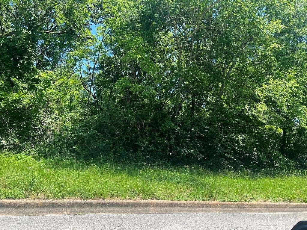 0.06 Acres of Residential Land for Sale in Lufkin, Texas