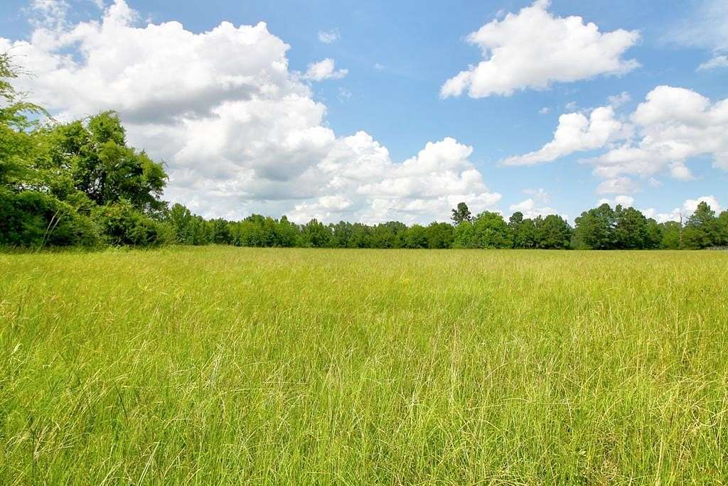 23.9 Acres of Land with Home for Sale in Wells, Texas