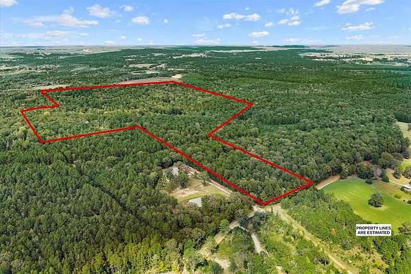 142 Acres of Recreational Land with Home for Sale in San Augustine, Texas