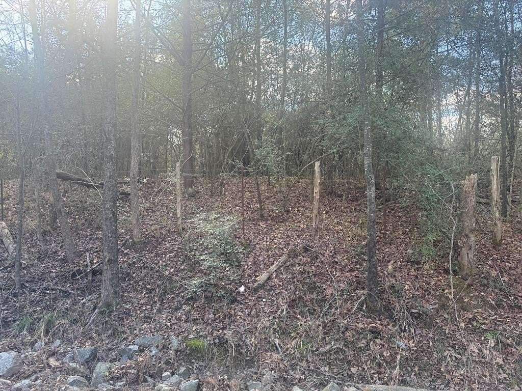 16 Acres of Land for Sale in Timpson, Texas