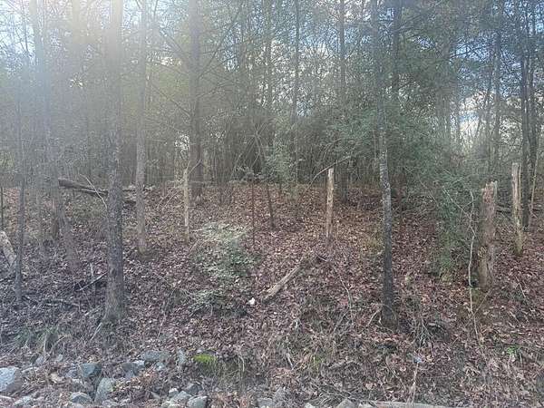 16 Acres of Land for Sale in Timpson, Texas