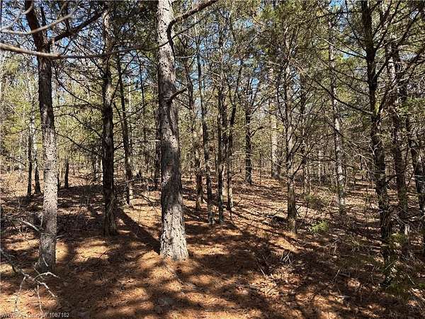 3 Acres of Residential Land for Sale in Paris, Arkansas