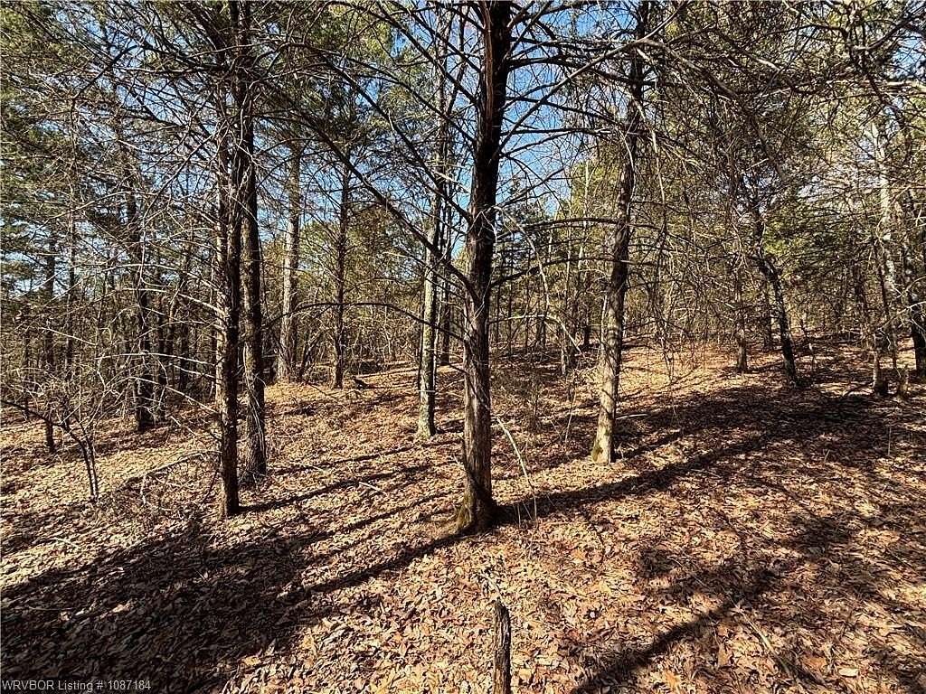 3 Acres of Residential Land for Sale in Paris, Arkansas