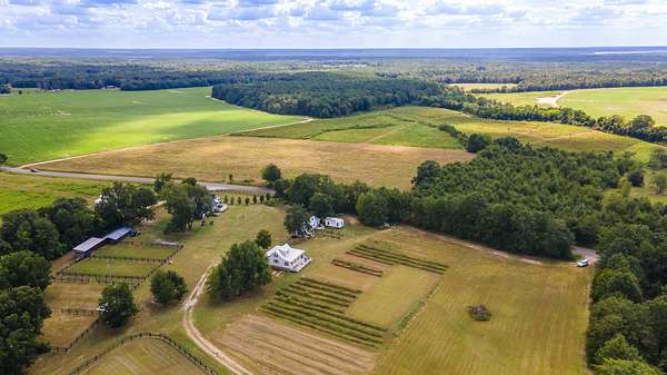 43 Acres of Agricultural Land with Home for Sale in Salley, South Carolina