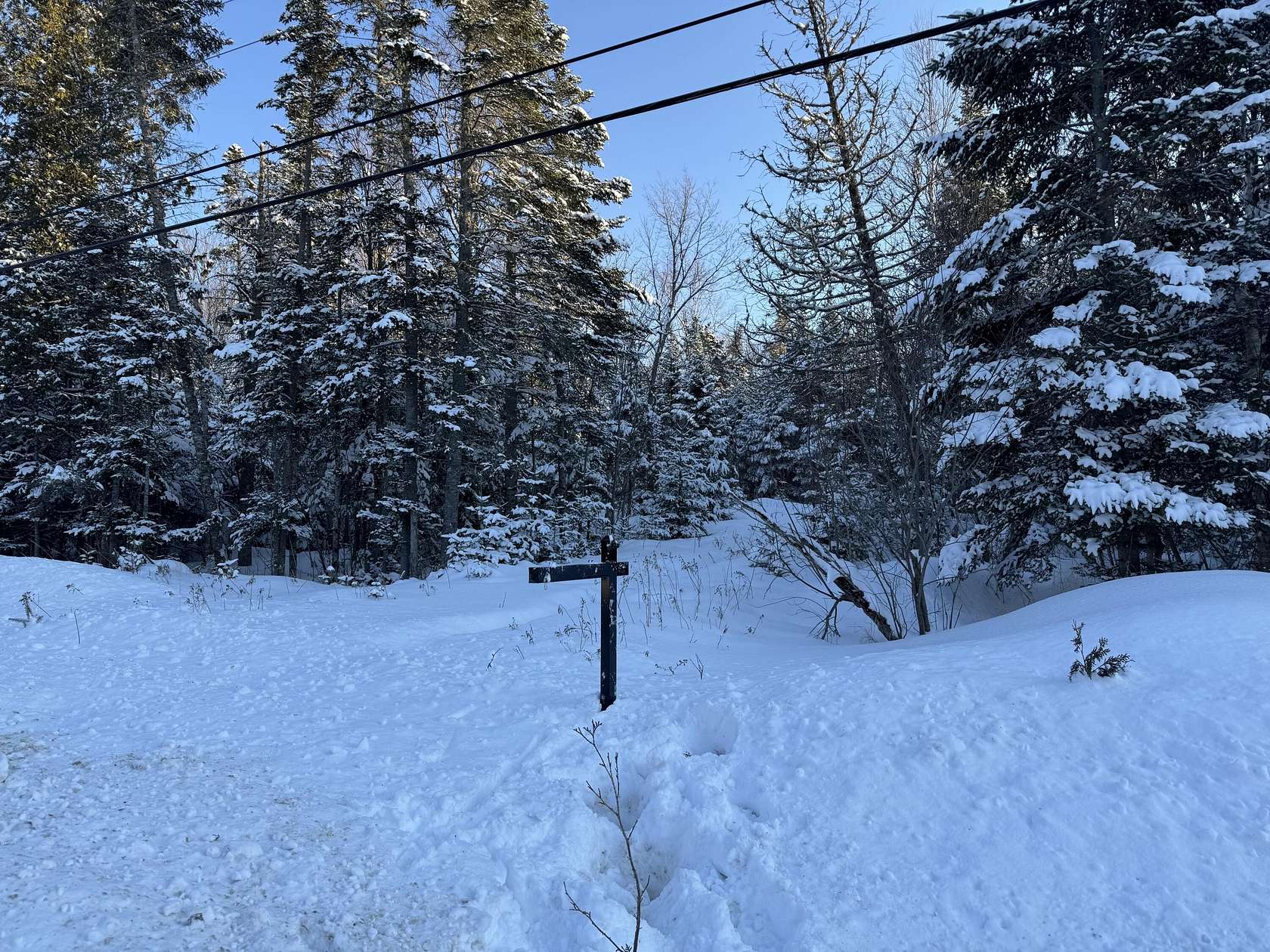 2.46 Acres of Land for Sale in Dallas Plantation, Maine