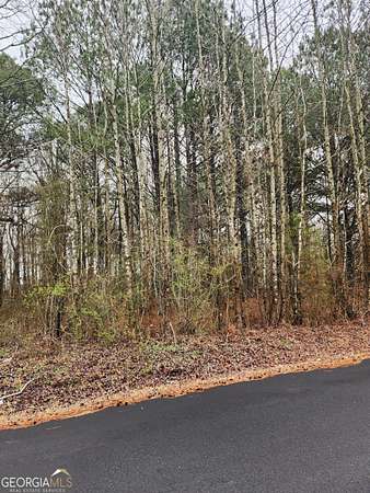 1 Acre of Residential Land for Sale in Bishop, Georgia