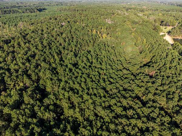 68 Acres of Land for Sale in Canton, Mississippi