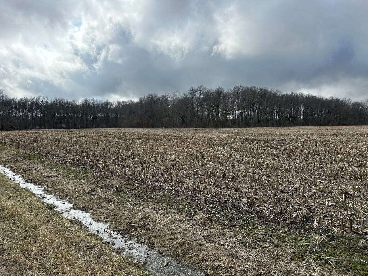 5 Acres of Residential Land for Sale in Bethel, Ohio