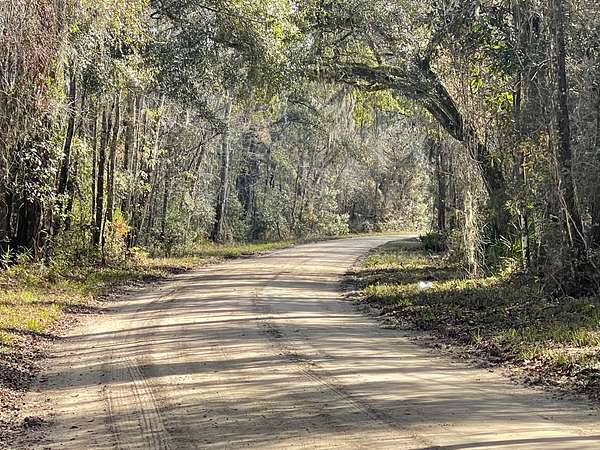 20 Acres of Recreational Land for Sale in Greenville, Florida