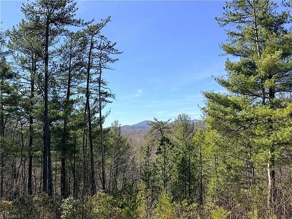 20 Acres of Recreational & Residential Land for Sale in Deep Gap, North Carolina